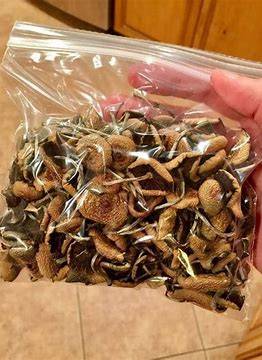 magic mushroom for sale in the usa