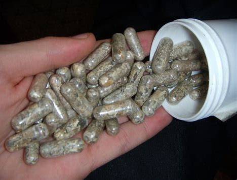 psychedelic shroom pills for sale
