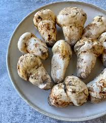 matsutake mushroom in usa