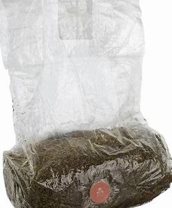 MushBag Grow Kit