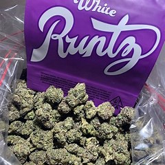 White runtz strain in the usa